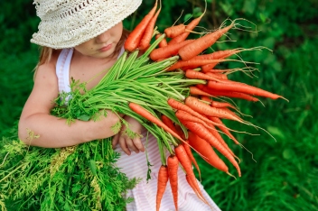 Girl with a bunch of freshly carrots